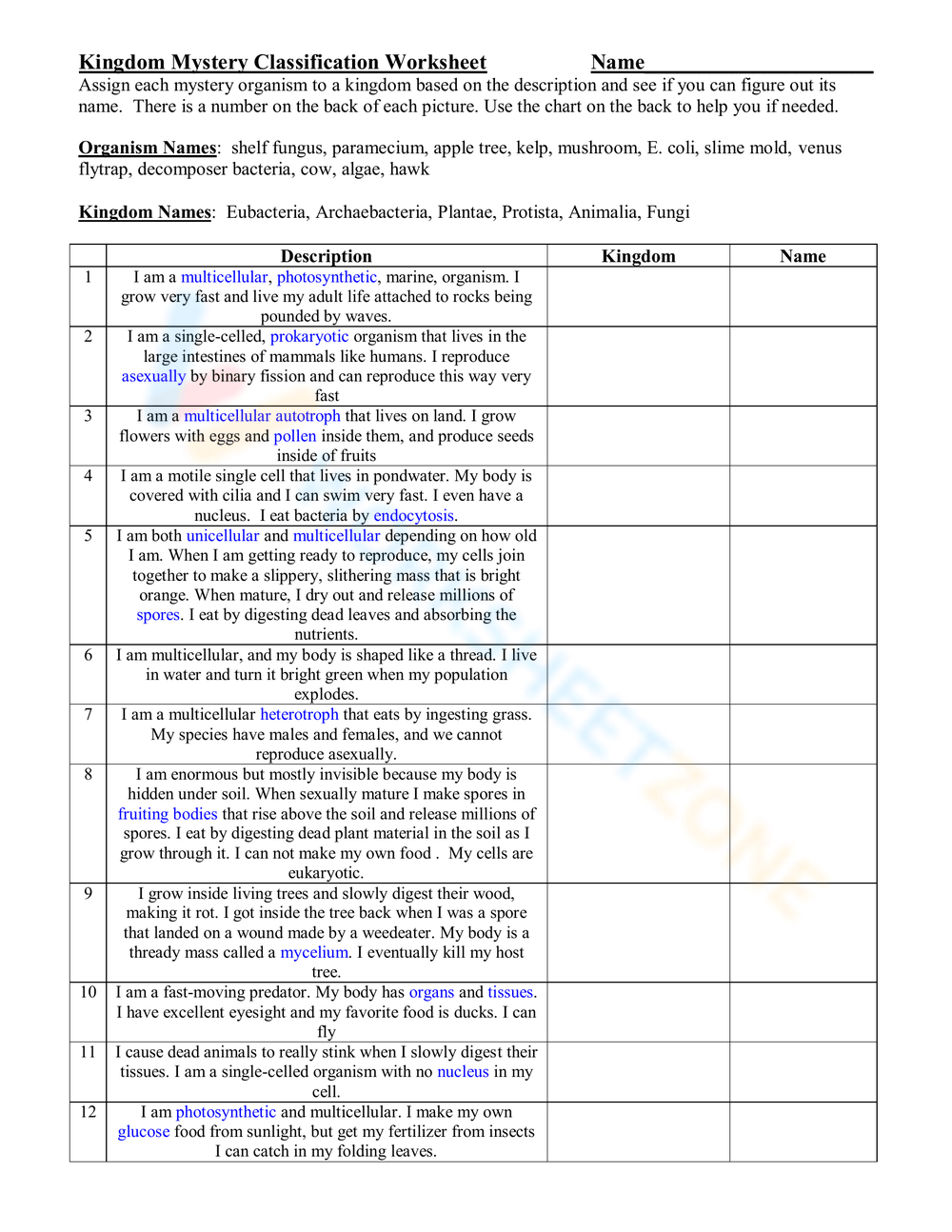classification and kingdoms worksheet