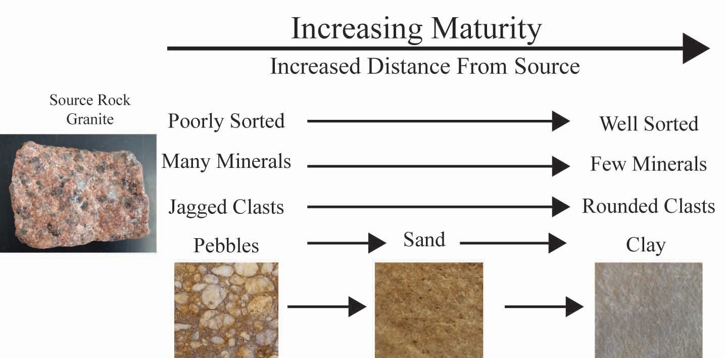 Lab 4 Reading Sedimentary Rocks Earth And Our Environment Laboratory Manual