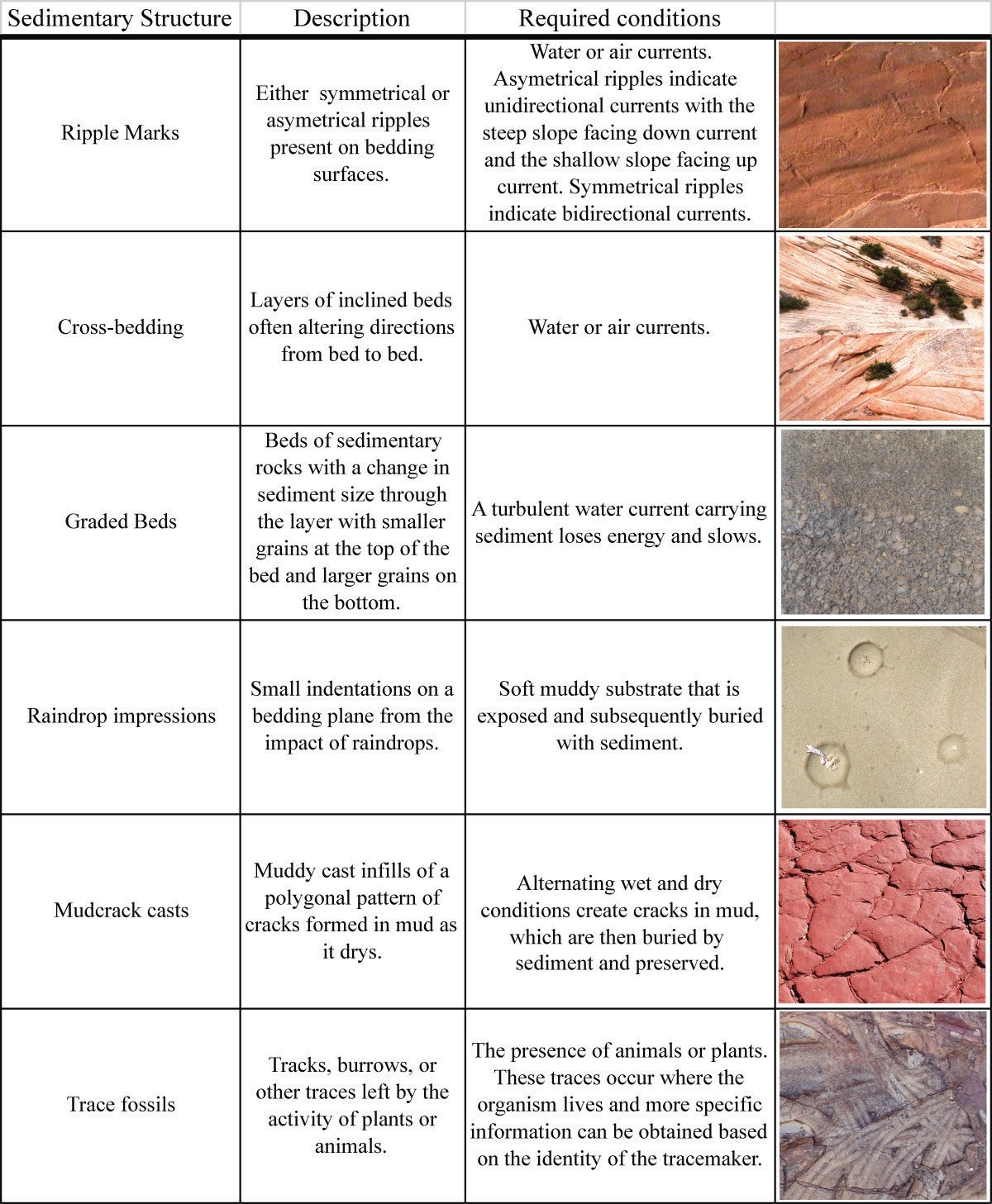 geotour worksheet f sedimentary rocks