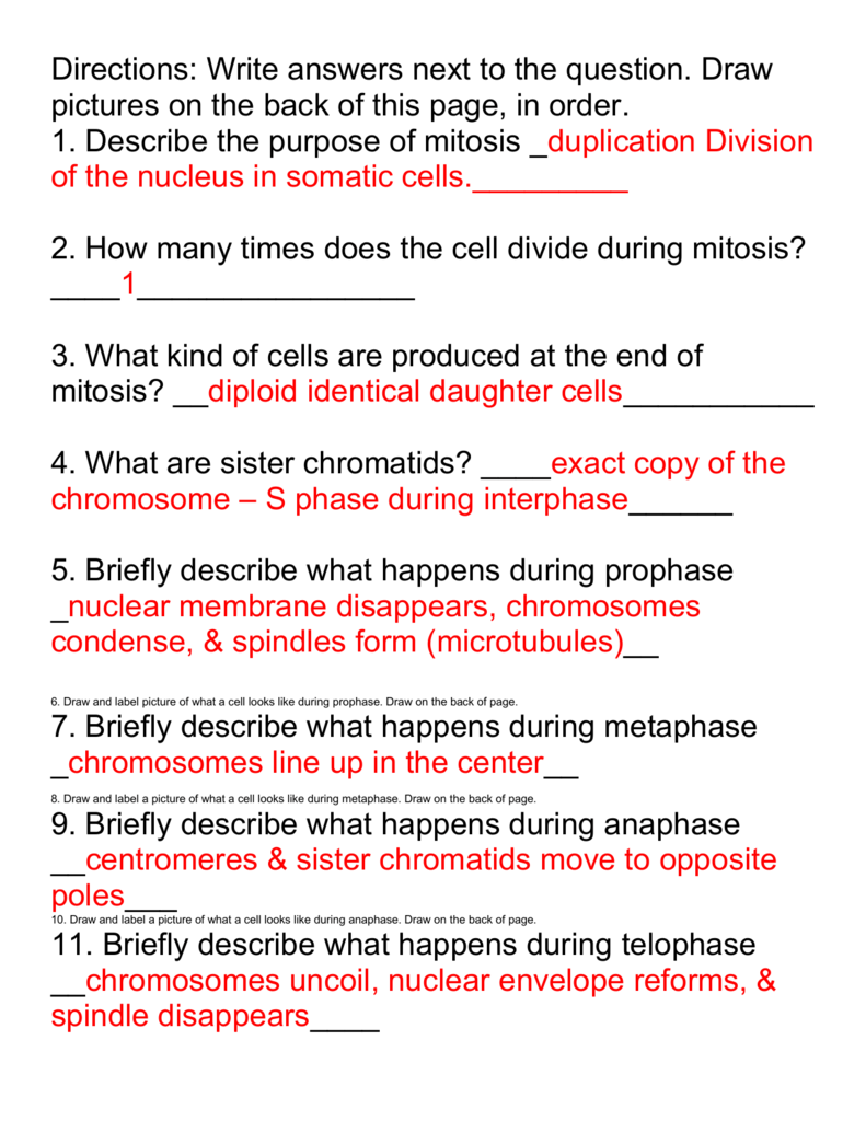 Mitosis And Meiosis Worksheet