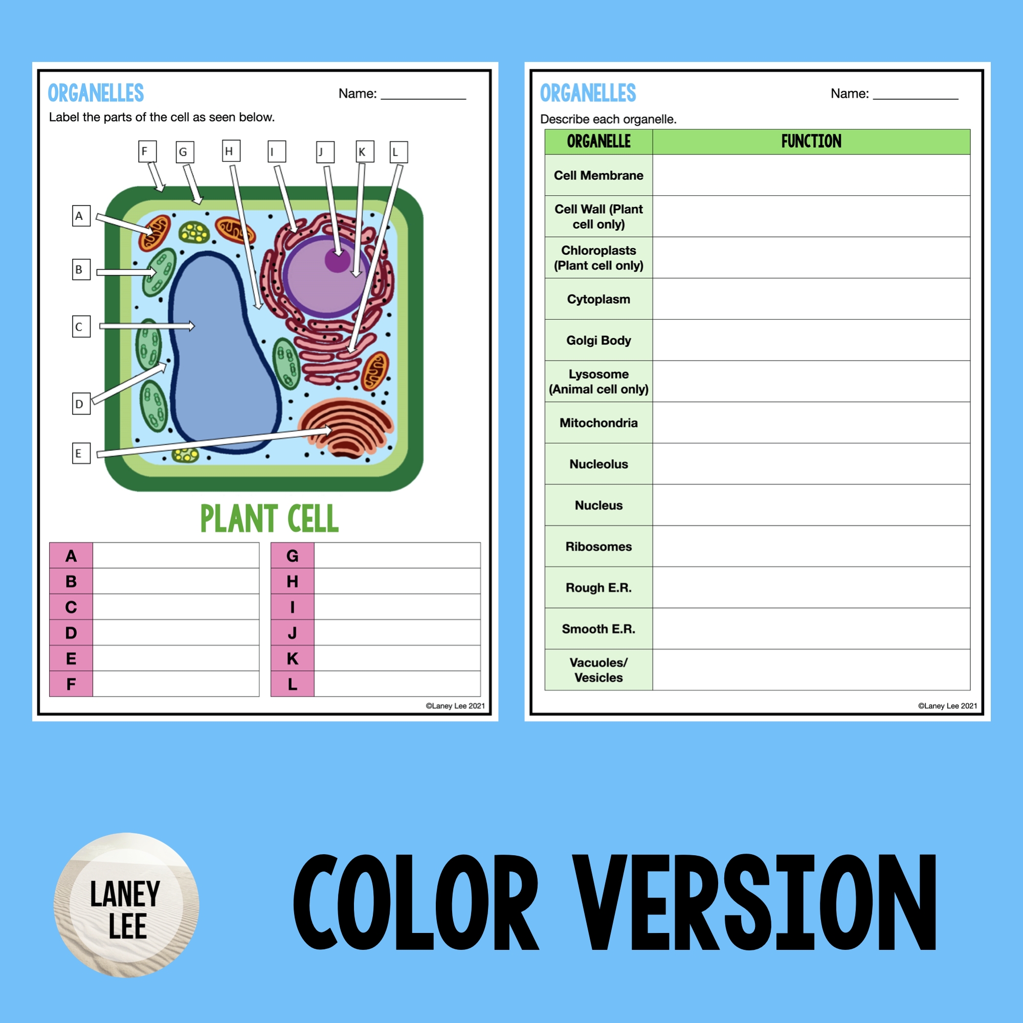 Organelles Worksheet Label And Describe Laney Lee