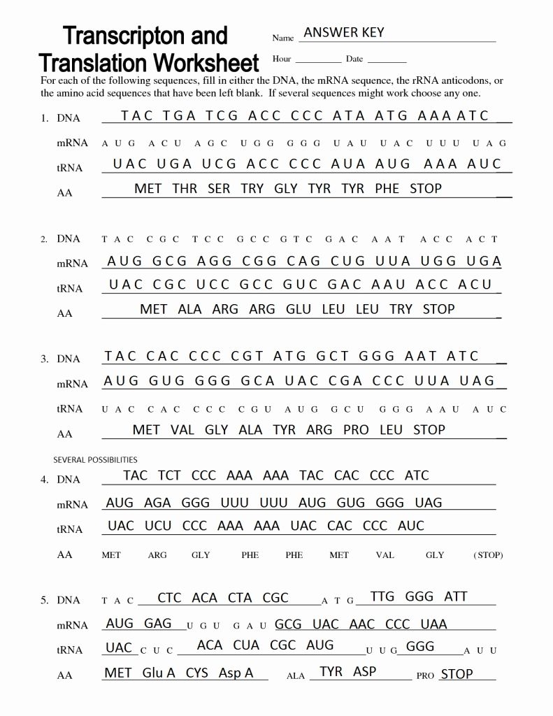 Practicing Transcription Translation Chanathip Worksheets Library