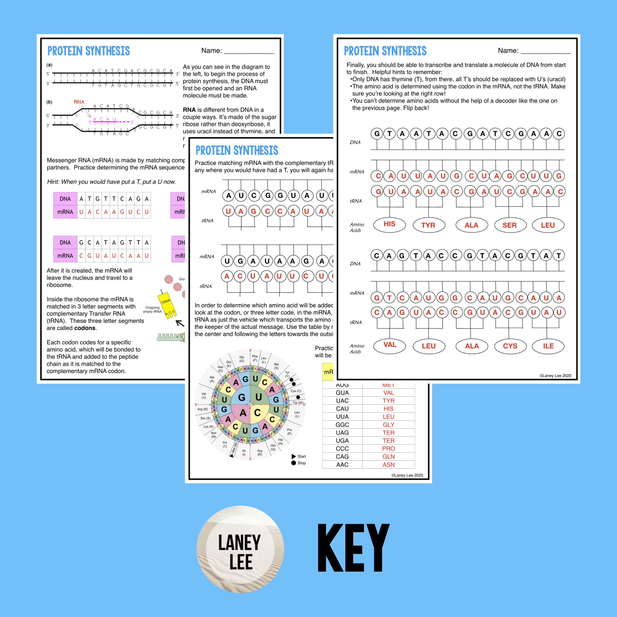 protein synthesis worksheet protein synthesis worksheet