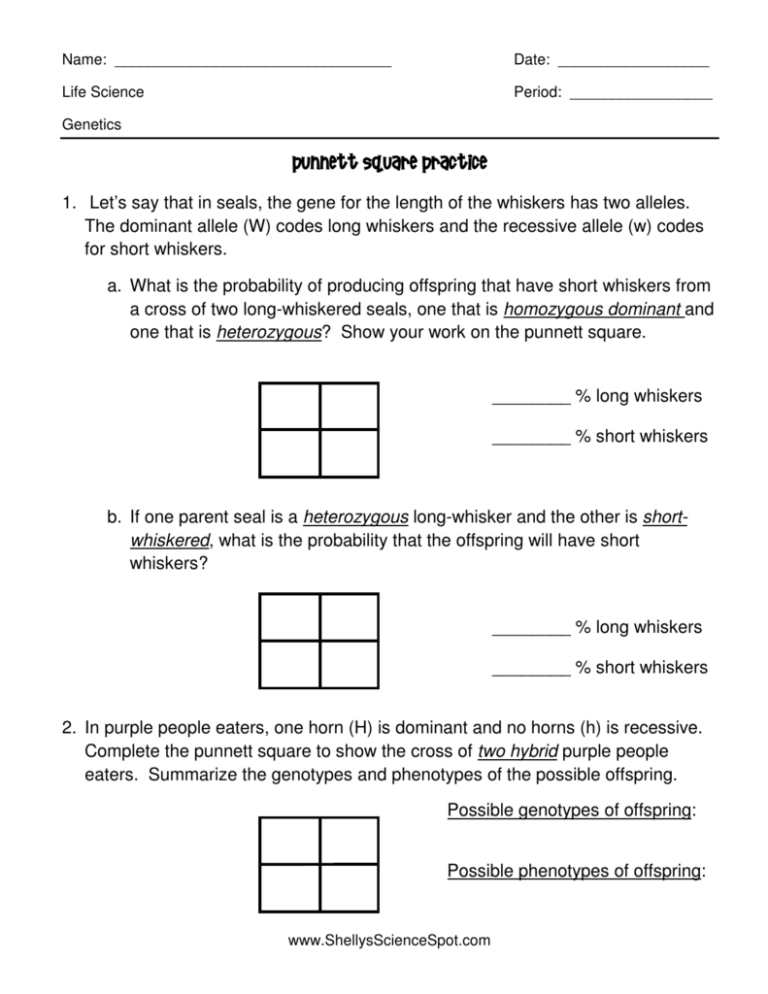 Punnett Square Practice Genetics Worksheet