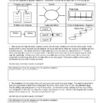 Text Structure Worksheet 4 Reading Activity