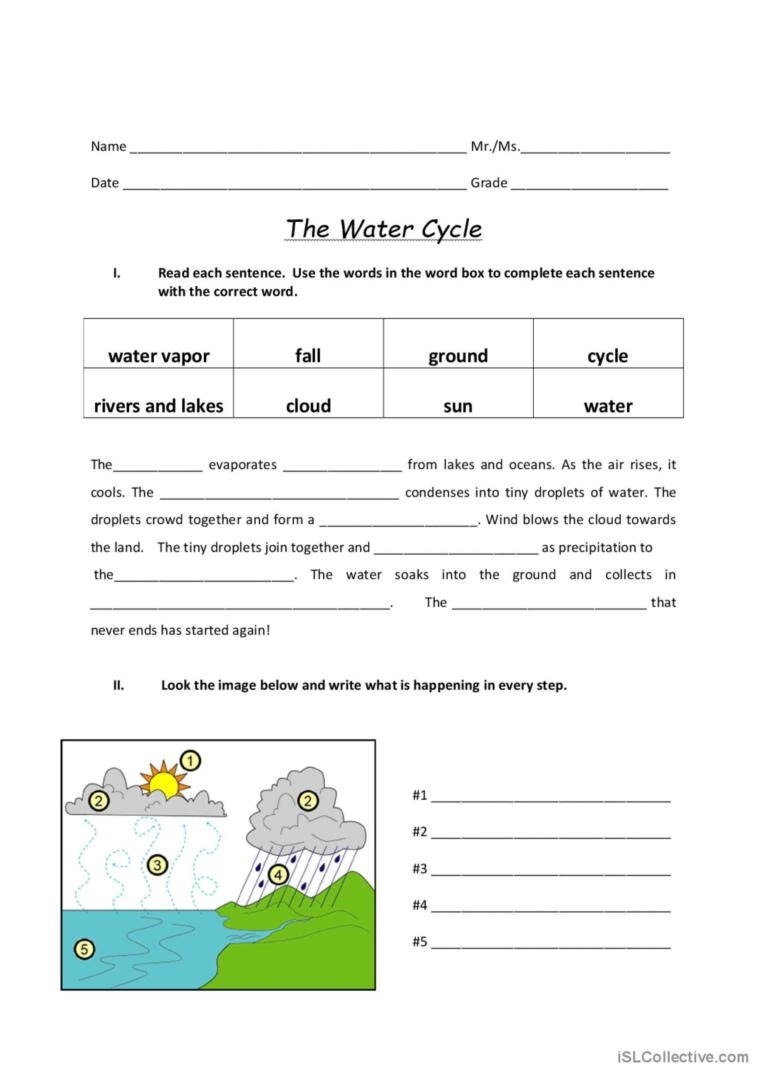 water cycle worksheet