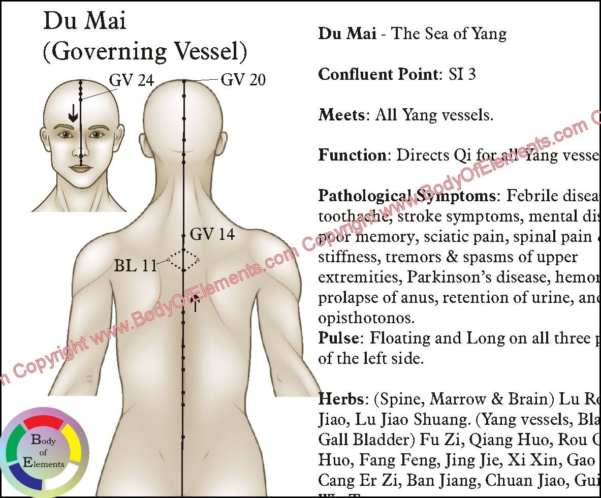 The Eight Extraordinary Meridians Acupuncture Points Chart 8 5 X 11 EBay