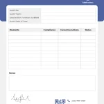 Printable financial audit report template in Word format by Venngage for educational purposes.